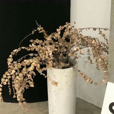 石狮福瑞交流群